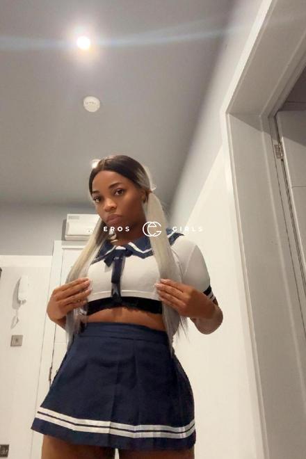 OLIVIA-FRANKREICH- Versaute Wildkatze..... Basel Stadt, Schweiz