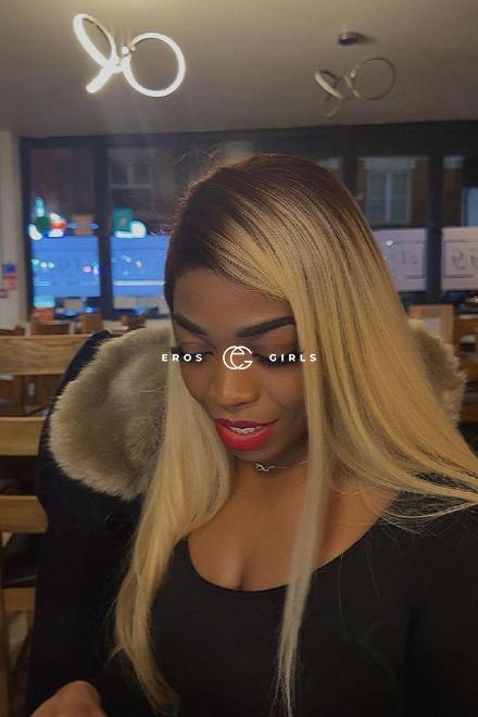 OLIVIA-FRANKREICH- Versaute Wildkatze..... Basel Stadt, Schweiz