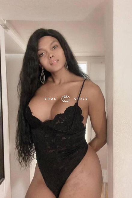 TS Michelly TRANS 22CM ACTIVE PASSIVE Schweiz, Waadt