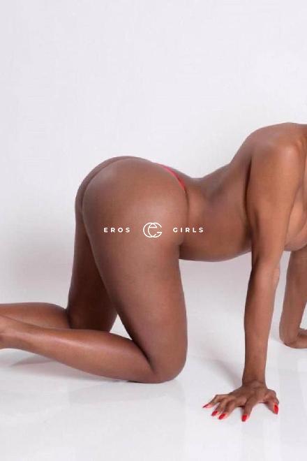 TS Michelly TRANS 22CM ACTIVE PASSIVE Schweiz, Waadt