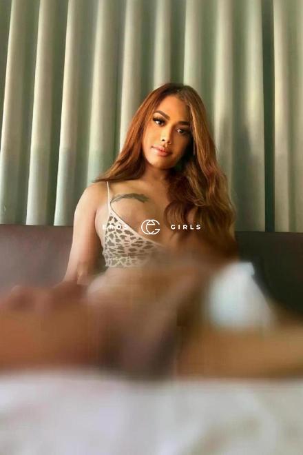 Brittany sehr aktiv 22*5 Schweiz, St.Gallen
