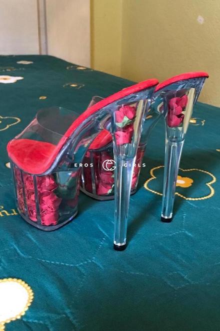 PIM  Thai Schmusekatze  Schweiz, Biel/Bienne - Grenchen